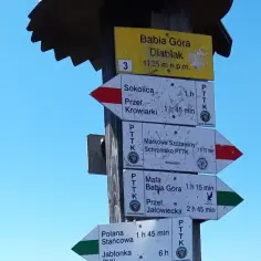 Rozdroże szlaków na Babiej Górze. Znaki PTTK wskazują drogę na Diablak, Sokolicę, Krowiarki, Markowe Szczawiny i inne.