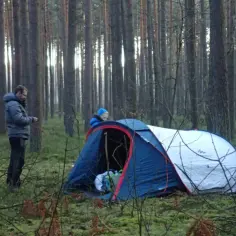 Dwóch ludzi rozbija namiot w lesie, przygotowując się do noclegu w stylu bushcraft.