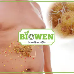Zbliżenie na tkankę tłuszczową żółtą, widoczne komórki tłuszczowe i drobne kropki. Logo "Biowen" na pierwszym planie.