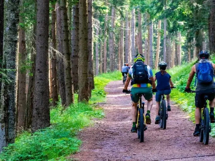 Najlepsze trasy rowerowe w Roztoczańskim Parku Narodowym – trudności i długości