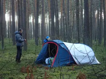 Dwóch ludzi rozbija namiot w lesie, przygotowując się do noclegu w stylu bushcraft.