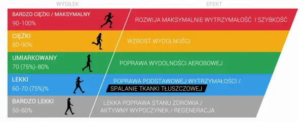 Tętno aerobowe - jak wyznaczyć i trenować dla zdrowia?