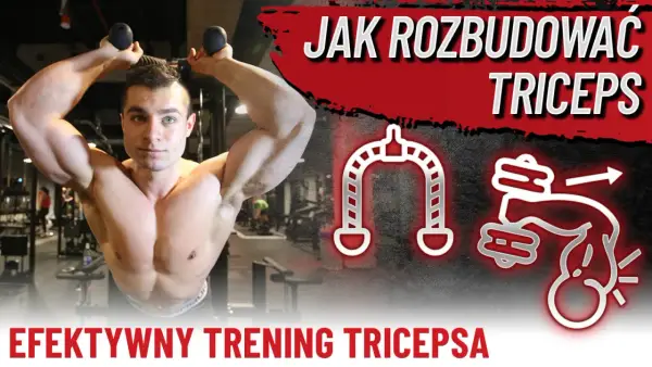 Ile serii na triceps - Plan na wzrost bez bólu łokci
