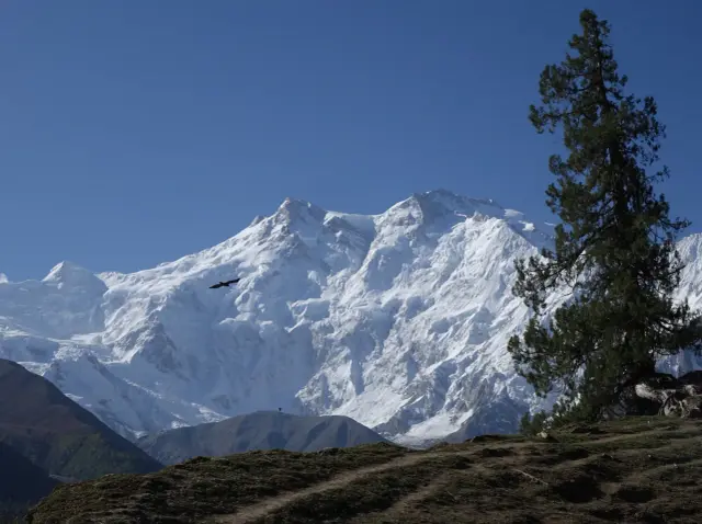 Nanga Parbat - wysokość, historia i trekking do Fairy Meadows